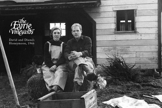 First Oregon Pinot: David and Diana Lett plant Pinot Noir in Dundee Hills in 1965
