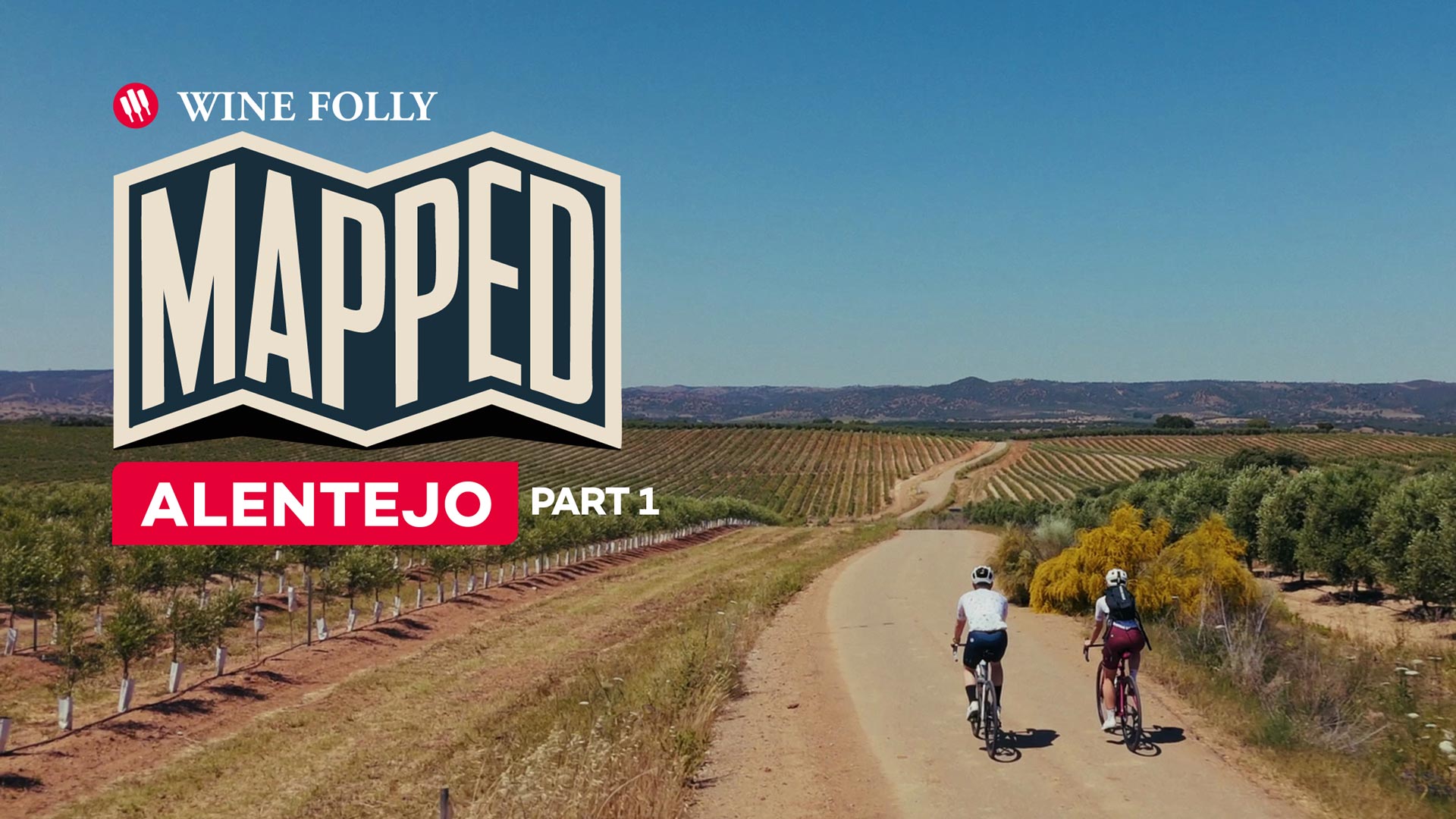 The Grapes Putting Alentejo on the Map