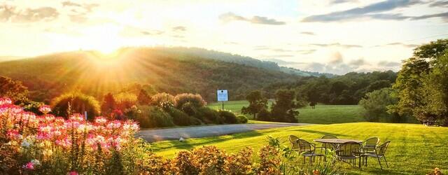 Jefferson Vineyards Image