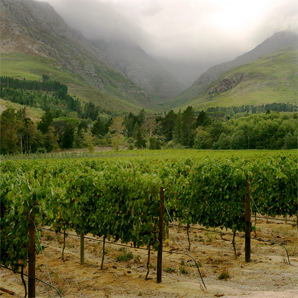 Blaauwklippen-River-kleinood