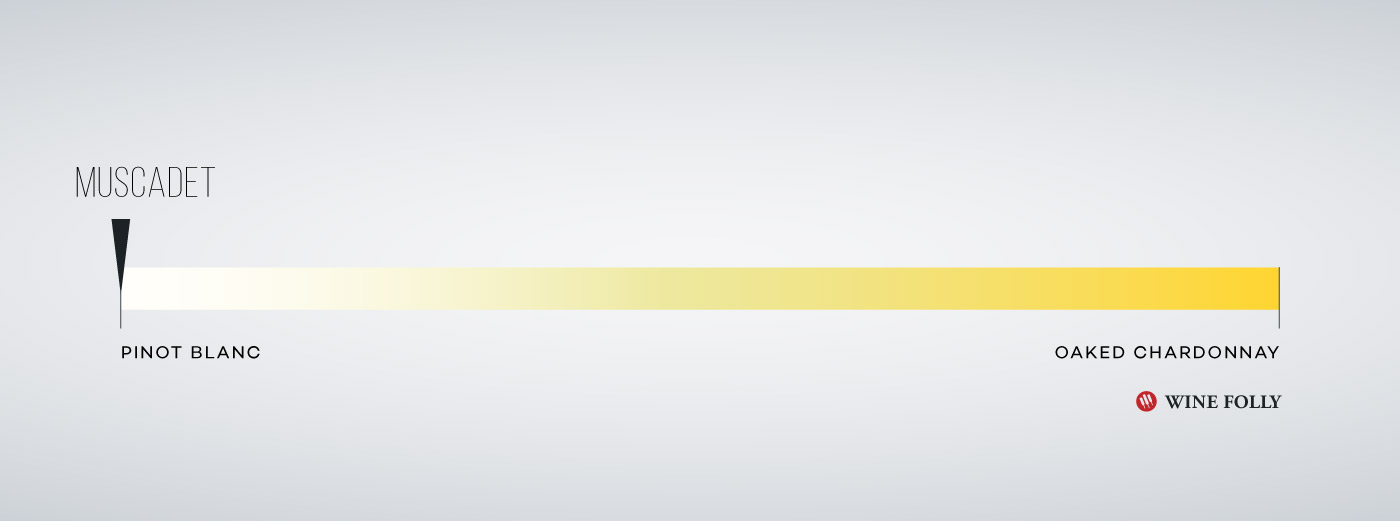 Muscadet Wines compared to other white wines by Wine Folly