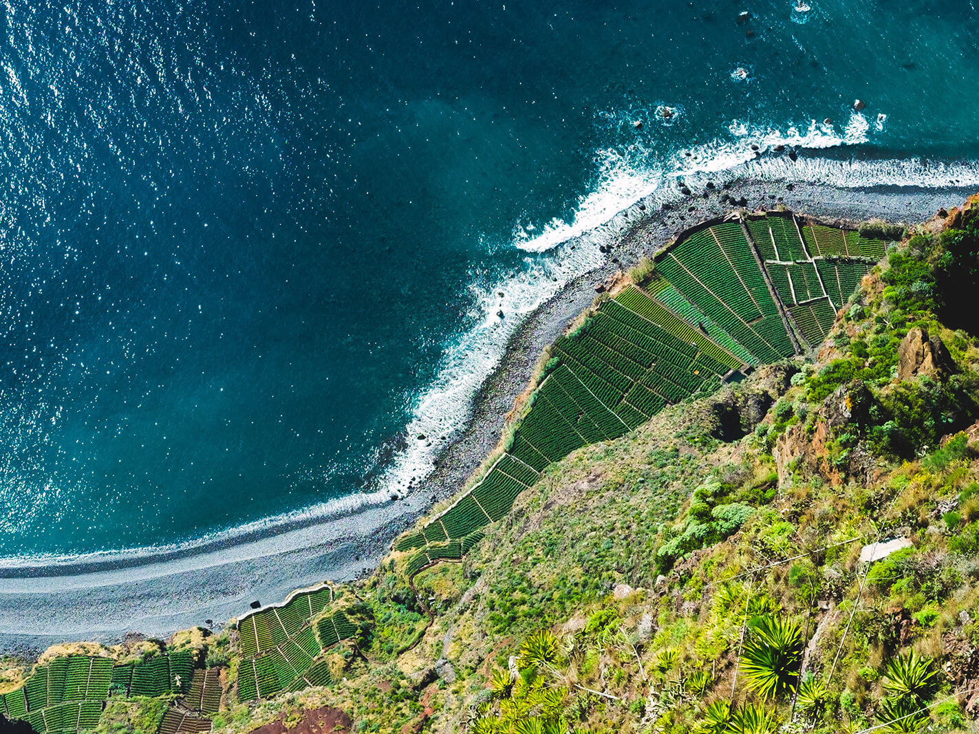 rui-magalhaes-madeira-vineyards-cape-girao-camara-de-lobos
