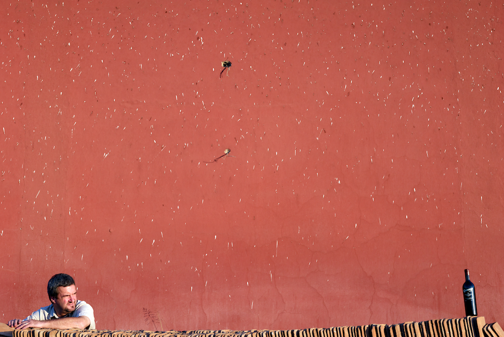 Von Siebenthal Chilean Wine by Matt Wilson mattwilson.cl