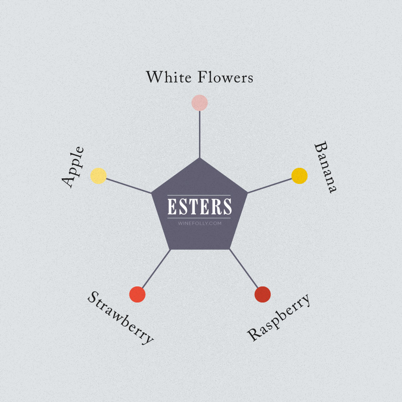 wine-flavors-esters
